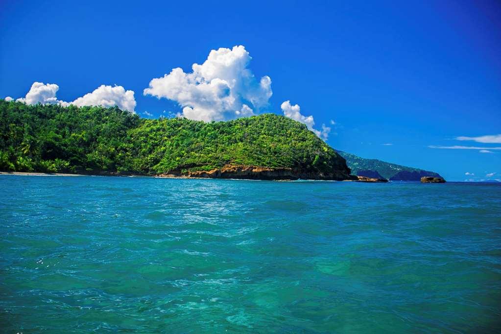 Atlantique View Resort And Spa, Ascend Hotel Collection Saint Andrew Voorzieningen foto
