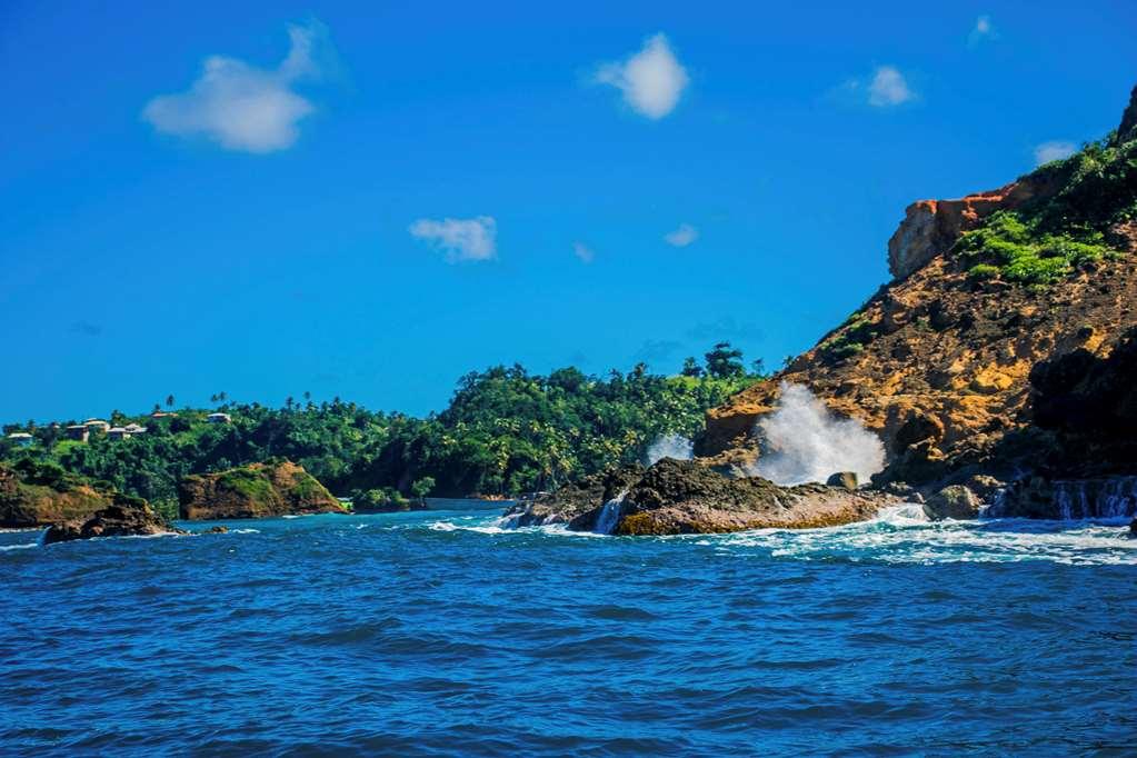 Atlantique View Resort And Spa, Ascend Hotel Collection Saint Andrew Voorzieningen foto